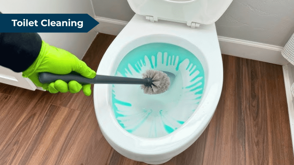 Toilet Cleaning